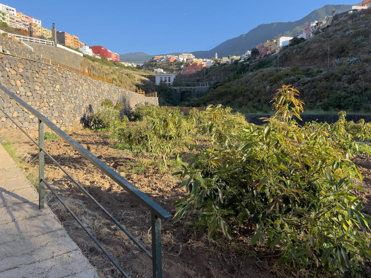 Finca Pico Los Realejos Bagian luar foto