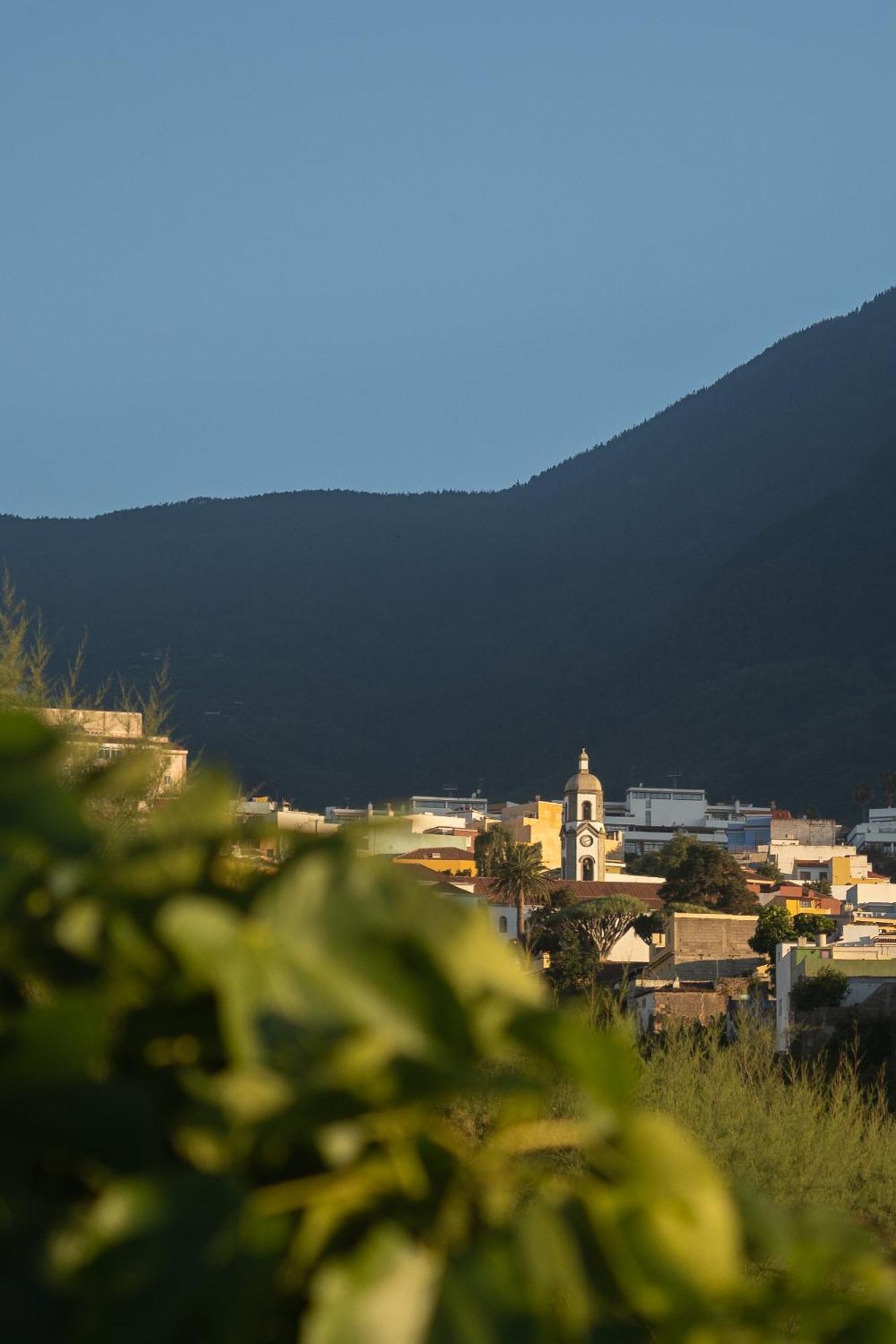 Finca Pico Los Realejos Bagian luar foto